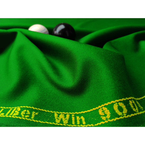 Li Baiwen 900 Pool Table